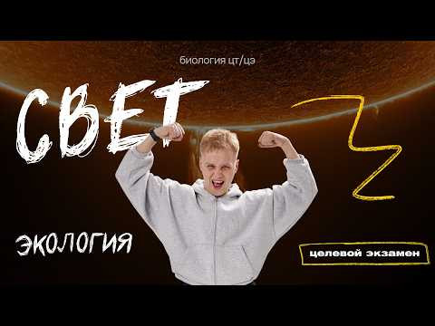 СВЕТ. ФОТОПЕРИОД И ФОТОПЕРИОДИЗМ | Целевой экзамен СВЕТ. ФОТОПЕРИОД И ФОТОПЕРИОДИЗМ | Целевой экзамен
