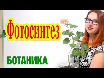 Фотосинтез. Значение фотосинтеза