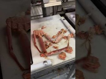 Куда-резюме кинуть?