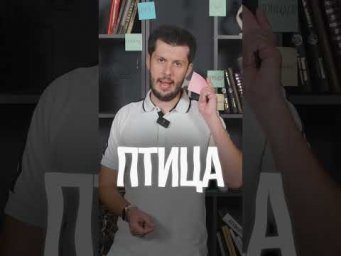 САМЫЙ ПРОСТОЙ ТЕСТ НА ИСПАНСКОМ: пройдешь ли ты? #УрокИспанского #ИспанскийЯзык