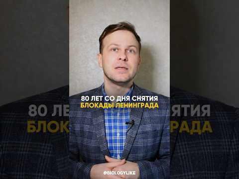 Как боролись с цингой в блокадном Ленинграде? Серия #ленинградскиеученые Как боролись с цингой в блокадном Ленинграде? Серия #ленинградскиеученые