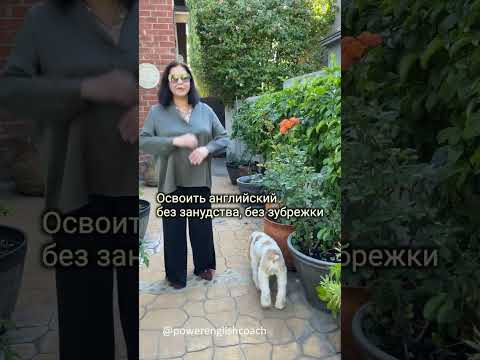 Как выучить английский в этом году