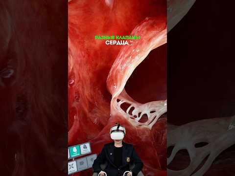мой тг: bio100ege, все шпаргалки для егэ тут❤️  #биология #сотка #животные #егэ