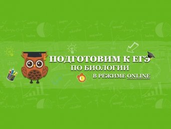 &laquo;Биосинтез белка&raquo; | ЕГЭ БИОЛОГИЯ 2020 | Онлайн-школа СОТКА