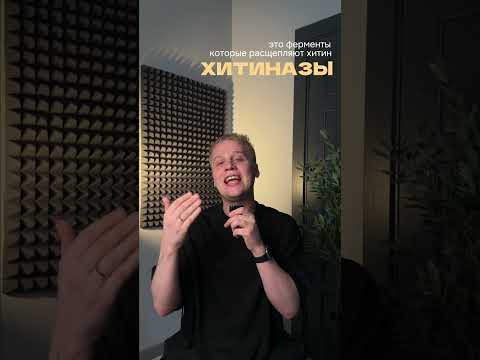 Почему грибы не усваиваются | тгк: ХимБио с Яном Менделеев