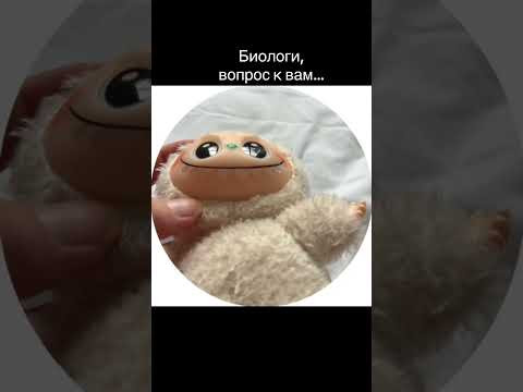 К какому классу относится Лабубу? #биология #егэ2026 #лабубу
