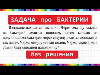 Задача про бактерии без решения #1