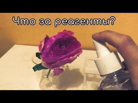 А вот сам скажи что
