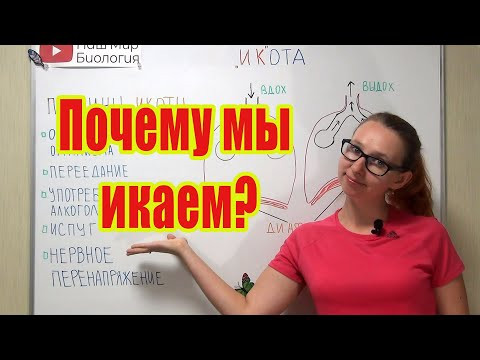 Что такое икота? Зачем мы икаем? Что такое икота? Зачем мы икаем?