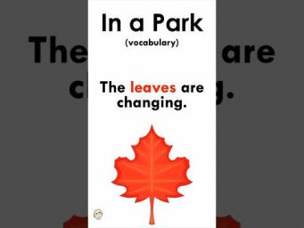 In A Park - vocabulary #MarkKulekESL #LearnEnglish