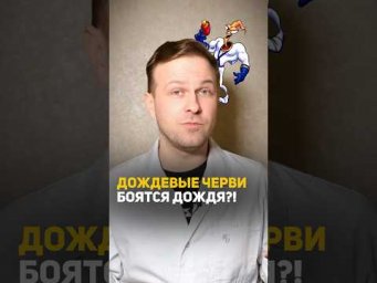 Почему черви выползают из земли во время дождя? 