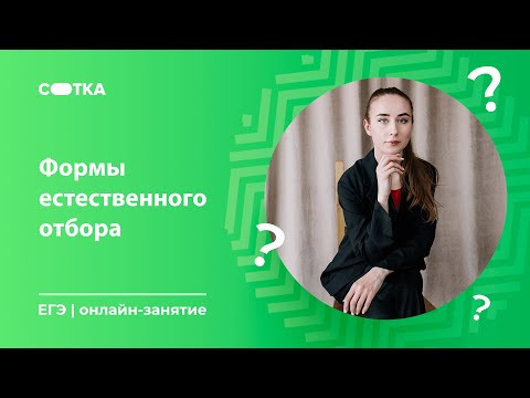 Формы естественного отбора | ЕГЭ БИОЛОГИЯ 2020 | Онлайн-школа СОТКА