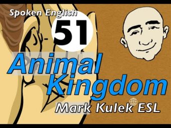 Animal Kingdom - conversation, Q&A, reading, shadowing | Mark Kulek - ESL