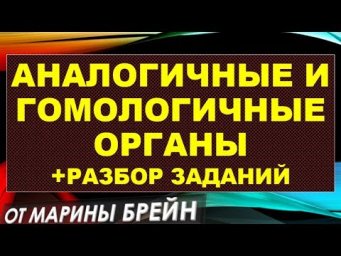 Аналогичные и гомологичные органы ЕГЭ, ОГЭ, их сравнение + разбор заданий