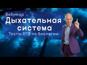 Дыхание и выделение. Задания ЕГЭ по биологии!
