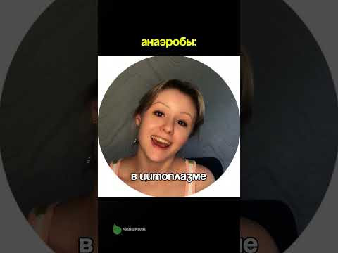 Метаболизм он такой #биология #егэ2026 #метаболизм #брожение