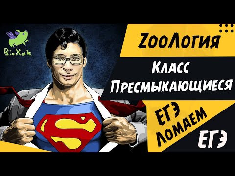 Класс Пресмыкающиеся (Рептилии)/ скрипт / домашка /BioXak