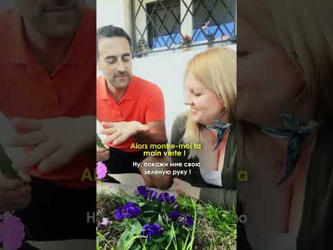 да у тебя "зелёная рука" да у тебя "зелёная рука"