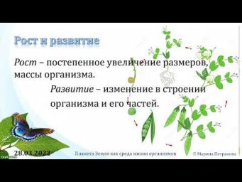 5 класс. Урок 29 марта 2022 года