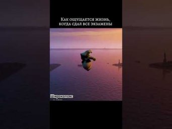 Об этом можно только мечтать #химияегэ #егэхимия #Широкопояс