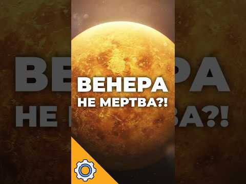Венера НЕ мертва?! Вчені виявили те, чого не очікував ніхто!
