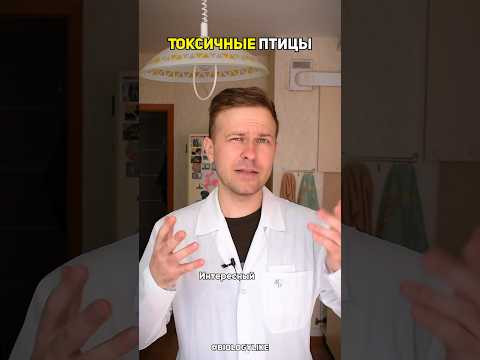 Токсичные птицы 