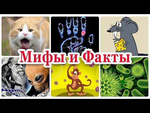 Мифы и факты в биологии