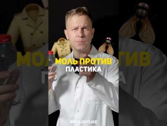 Моль уничтожает пластик?! 