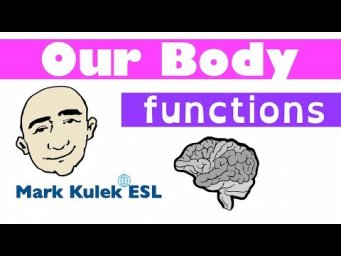 Our Body - body expressions and functions/purposes | Mark Kulek - ESL