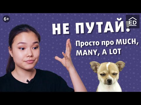 ЭТО ОСНОВА! Разница much, many, a lot | Английский для начинающих | EnglishDom ЭТО ОСНОВА! Разница much, many, a lot | Английский для начинающих | EnglishDom
