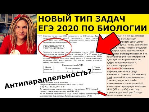 Новый тип 27 задач в ЕГЭ по био 2020! Антипараллельность