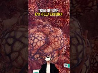 правда, что легкие выглядят, как ягода ежевики? 