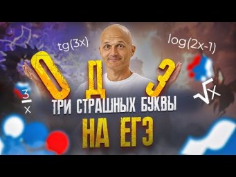 ОДЗ - лучшее решение на ЕГЭ 2024. Профильная математика