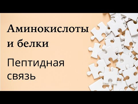 Как построить пептиды и что такое пептидные связи?
