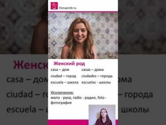 Урок 5 Род и число испанских существительных. Испанский язык [ Уровень А1]