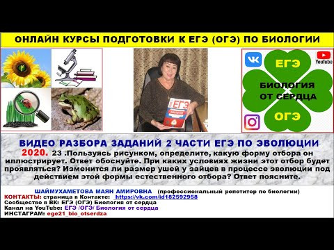 ВИДЕО РАЗБОРА ЗАДАНИЙ 2 ЧАСТИ ЕГЭ ПО ЭВОЛЮЦИИ ВИДЕО РАЗБОРА ЗАДАНИЙ 2 ЧАСТИ ЕГЭ ПО ЭВОЛЮЦИИ