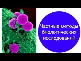 Частные методы биологических исследований