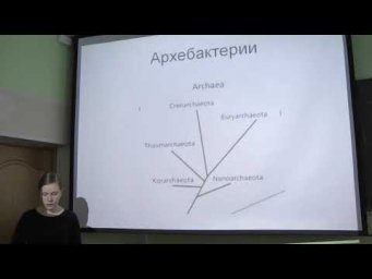 Микорбиология. Обзор. Звонарева Е. С. edit