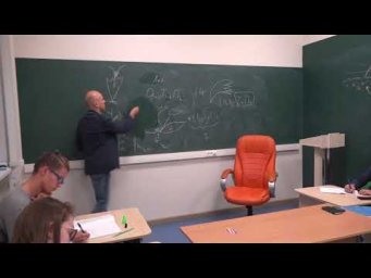 19. Общая характеристика лилейных