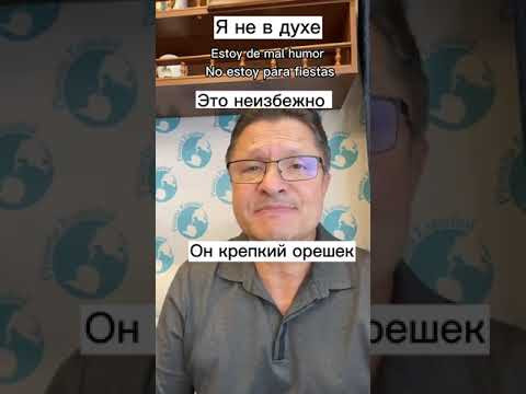 ВЫРАЖЕНИЕ ДНЯ ОТ УМБЕРТО! #шортс