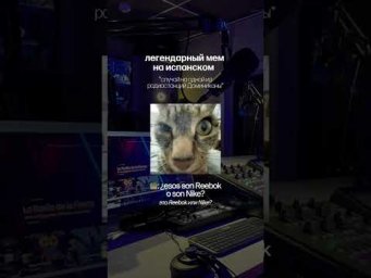 легендарнейшей мем, произошедший на одной из радиостанций Доминиканской республики 