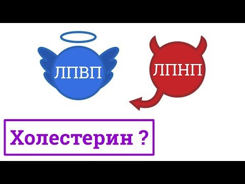 Хороший и плохой холестерин. Что это такое? Хороший и плохой холестерин. Что это такое?