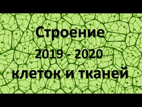 4. Клетки и Ткани  (5 класс) - введение в Биологию