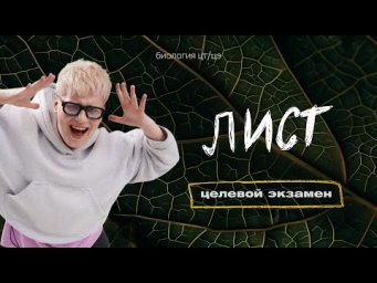 ЛИСТ | Целевой экзамен