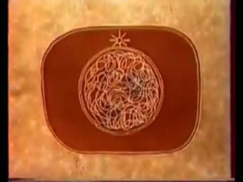 Строение ядра клетки