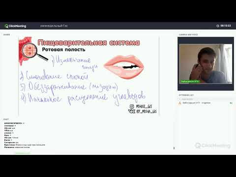 24 сентября. Еженедельный. Пищеварительная система 24 сентября. Еженедельный. Пищеварительная система