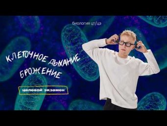 ОБМЕН ВЕЩЕСТВ. КЛЕТОЧНОЕ ДЫХАНИЕ | Целевой экзамен