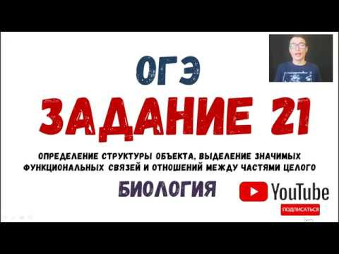 ОГЭ Биология Разбор Задания 21 Рохлов 2019
