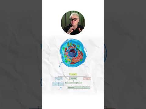 Строение клетки | Биология с Яном Строение клетки | Биология с Яном