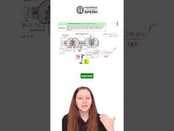 ЗАЧЕМ КЛЕТКЕ НУЖЕН НАСОС  тгк: Марина Брейн #егэ2027 #егэбиология